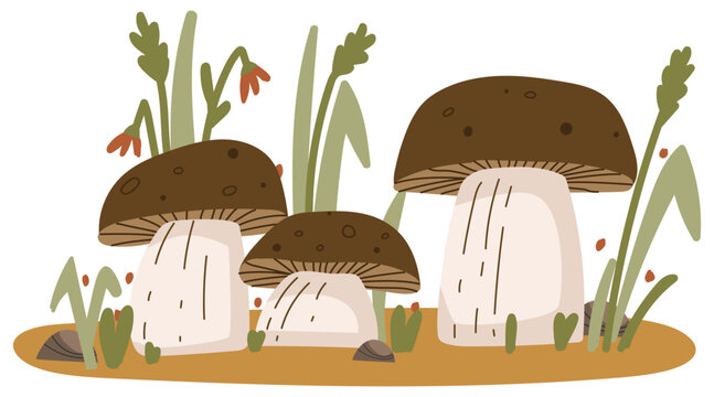 Mushrooms in a meadow. Flat vector illustration.