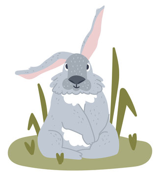 Gray rabbit with big ears sits on the grass. Wild hare in the forest. Flat vector illustration.