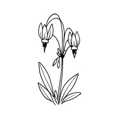 Naklejka premium PNG Minimalist botanical line art