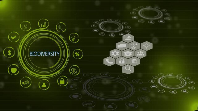 Biodiversity ecosystem vector infographics. Consists of desert, grassland, tundra, freshwater, rainforest, coral reef zones for layout, 4k motion video isolated on transparent background.