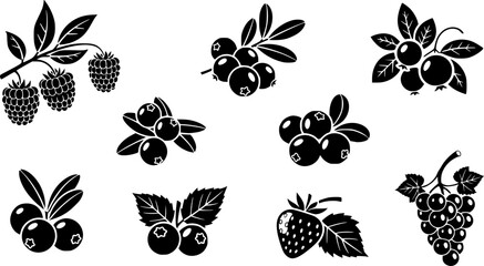 Black and White Icons of Berries on Branches and Bunch
