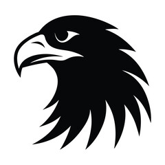 Obraz premium Black silhouette of bald headed eagle