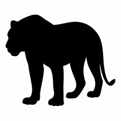 Black silhouette of a powerful feline predator walking on white background