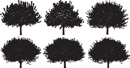Black Solid Blooming Crabapple Tree Silhouettes Set of Six on White Background © Sahileditz