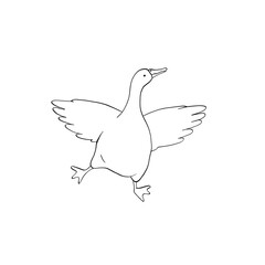 Obraz premium Goose Line Art Clipart, Cute Goose Outline Illustration, Farm Bird Minimal Drawing, Hand Drawn Goose Isolated