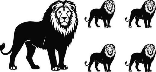Majestic lion silhouette vector illustration set featuring standing African male lion with detailed mane wildlife animal logo design collection graphic © Mamun