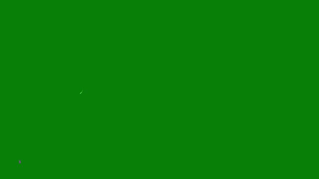 Colorful confetti explosion celebration overlay on green screen 4k
