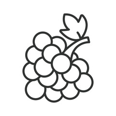 Blackberry icon in line design. blackberry berry fruit food fresh organic sweet healthy farm market nutrition dessert ingredient on white background vector. blackberry editable stroke icon © Bezvershenko