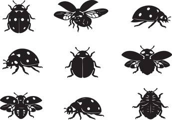  ladybug silhouette vector art various angles, insect collection © Amina