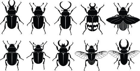 Beetle insect silhouettes collection vector illustration, various scarab and stag beetle species isolated icons set for entomology, wildlife design, biology education, nature elements © MostArjuma