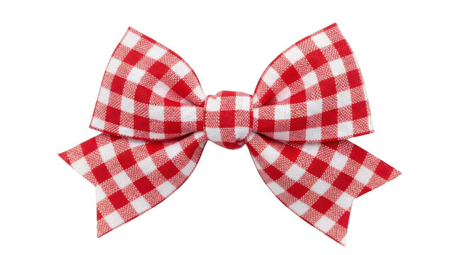 A beautiful red and white gingham ribbon bow tied in a classic style isolated on transparent background