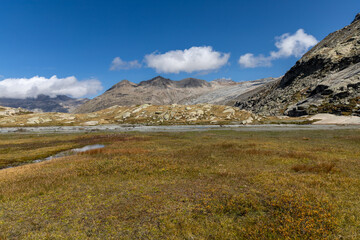 Fototapeta premium Panoramic alpine landscape in the Haute Maurienne Valley near Bonneval-sur-Arc, Savoie