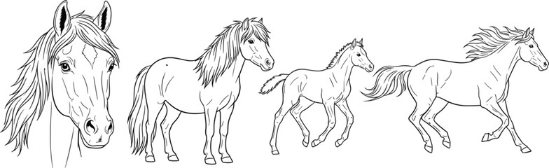Obraz premium Horse line art set with head portrait standing foal and running horse hand drawn equine animals vector illustration collection