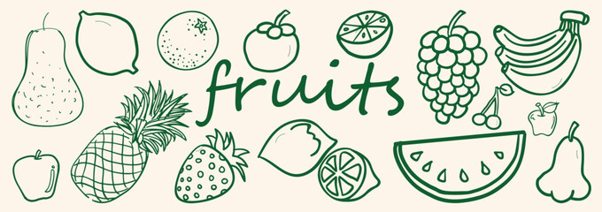 Hand drawn vector set of various fruits. Sketch fruit set. Various fruits drawn with lines. Vector illustrations © thisara