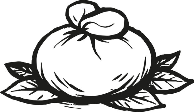 Hand-drawn illustration of a cheese ball with leaves, perfect for culinary or rustic themes