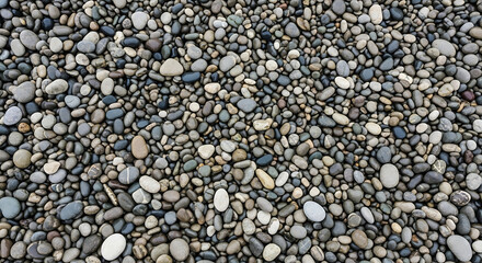 A close-up view of a collection of smooth gray and white pebbles on a beach