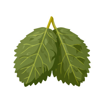 Minimal 2D vector illustration of Dolma Stuffed Grape Leaves in flat icon style on a plain white background.
