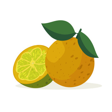 2D flat vector illustration of Ugli Fruit, clean and minimal icon style, isolated on white background.