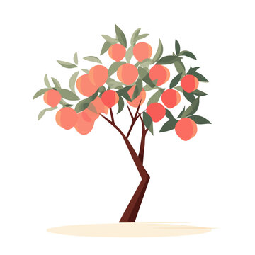 Flat 2D vector illustration of Peach Tree, simple icon style on a clean white background.