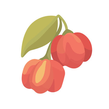 Minimal 2D vector illustration of Ackee in flat icon style on a plain white background.