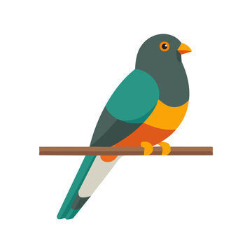 Trogon in a clean 2D flat vector icon style, minimal and simple, set on a plain white background.