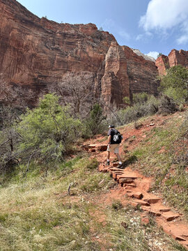 Rear view of a male hiker walking up steps, Zion canyon, Zion National Park, Springdale, Utah, USA