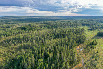 An aerial of wetlands and coniferous forests in Riisitunturi National Park, Northern Finland © Kersti Lindström