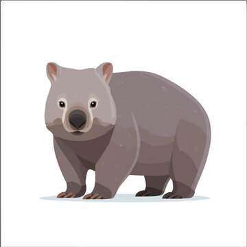 2D flat vector illustration of Wombat, clean and minimal icon style, isolated on white background.