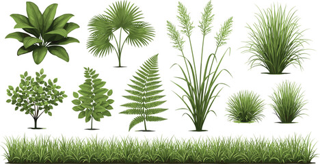 Green garden plants collection set, tropical leaves, grass, shrubs and fern botanical elements isolated on white background, nature vector illustration bundle © MstSanoara