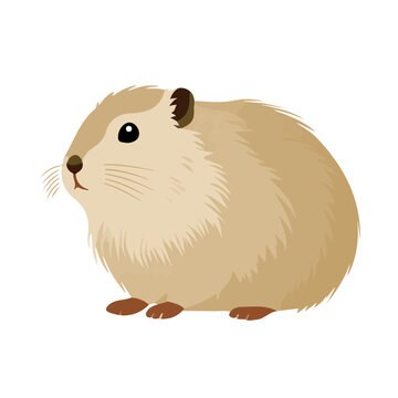 Lemming, 2D flat vector illustration, simple and modern style, isolated on a plain white background.
