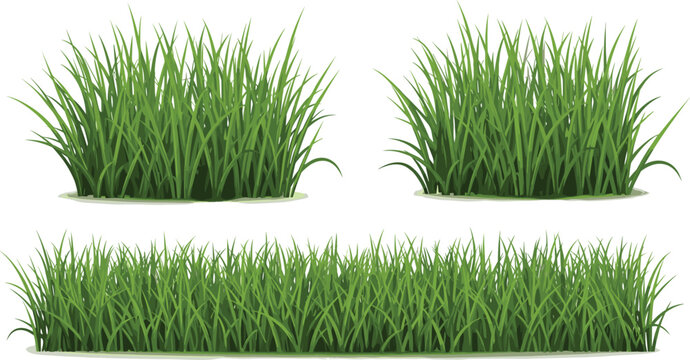Green grass border collection set, fresh lawn grass tufts isolated on white background, natural garden plant elements vector illustration