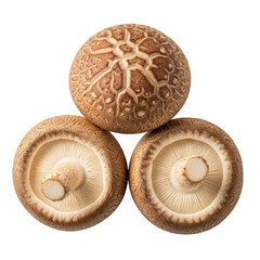 Three mushrooms with brown caps and stems isolated on transparent background