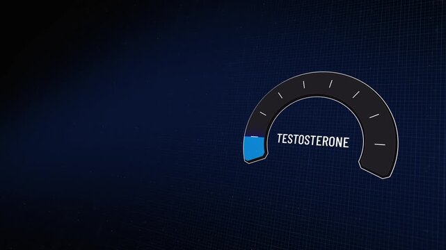 Digital testosterone level gauge indicator fluctuating showing androgenic hormone metrics rising then falling on dark background, representing masculinity, energy and virility, Copy space
