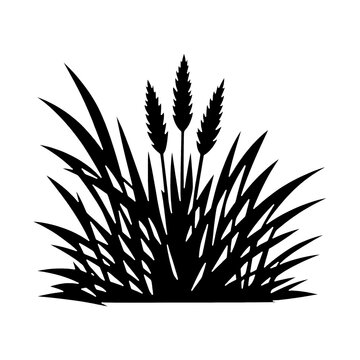 PNG Silhouette grass with wheat