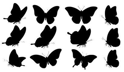 Naklejka premium Decorative Multiple Butterfly Silhouette Vector Pack