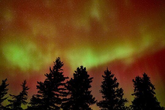 Aurora Borealis Northern Lights Green and Red Stars Nightscape Wyoming Fine Art Abstract Star Scape Forest Silhouette Wyoming Alaska