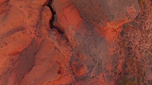 Straight-down low-altitude drone forward pass showcasing the intricate eroded clay-sand topography of Kok-Moynok 2 narrow gorges, rugged textures, and bush-lined paths in a miniature desert canyon