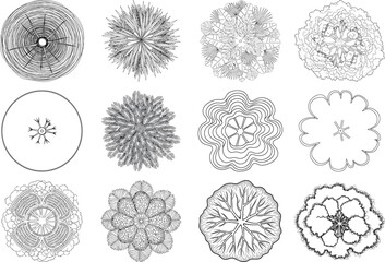 Collection of 12 black and white floral designs isolated on transparent background