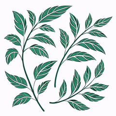 Two detailed botanical illustrations of green leafy branches, ideal for nature-inspired designs and organic decorative elements © Sirajum
