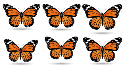 Six Monarch Butterflies Arranged in Two Rows on White Background