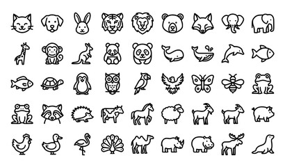 40 Black and White Animal Line Icons Vector Set in Minimal Flat Style © Nahid