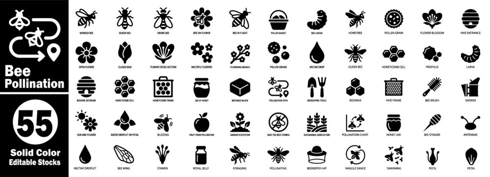 Bee pollination icon set. Including queen bee, drone, honey hive, and nectar vector illustrator.