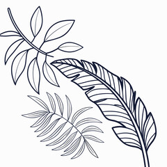 Obraz premium Exotic tropical foliage outline drawing, diverse botanical elements for summer design, banana and palm leaves vector art