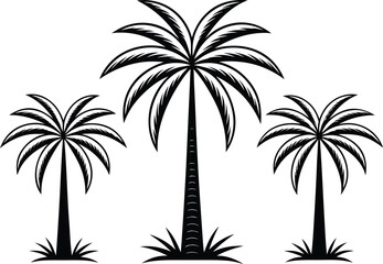 Fototapeta premium Three black palm trees on white background