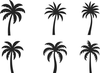 Fototapeta premium Palm tree silhouette set with tropical coconut trees isolated on white background, black beach plant icons collection for summer design, travel graphics, logo, branding