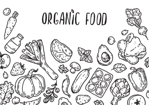 Organic food sketch doodles . Whimsical food doodles, Hand drawn vector illustration for menu, packaging design. Food quirky icons, simple sketch style. Top view. Simply fun