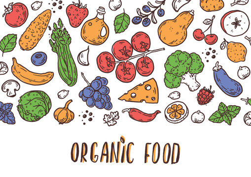 Organic food sketch doodles . Whimsical food doodles, Hand drawn vector illustration for menu, packaging design. Food quirky icons, simple sketch style. Top view. Simply fun