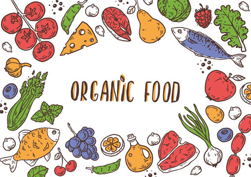 Organic food sketch doodles . Whimsical food doodles, Hand drawn vector illustration for menu, packaging design. Food quirky icons, simple sketch style. Top view. Simply fun