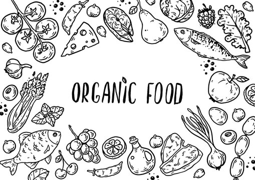 Organic food sketch doodles . Whimsical food doodles, Hand drawn vector illustration for menu, packaging design. Food quirky icons, simple sketch style. Top view. Simply fun