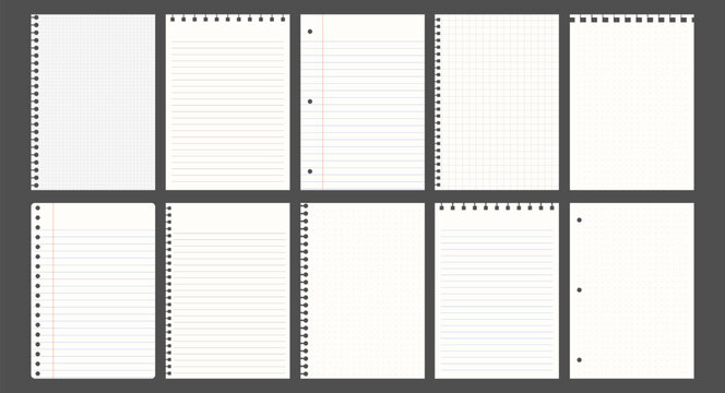 Torn paper notebook sheets collection vector element